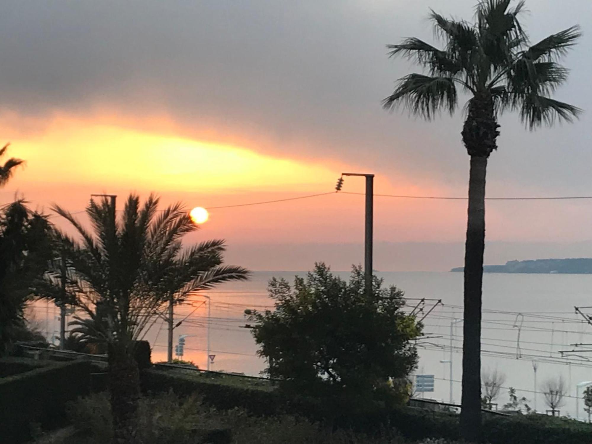 Palme D'azur La Bocca Appartement Cannes